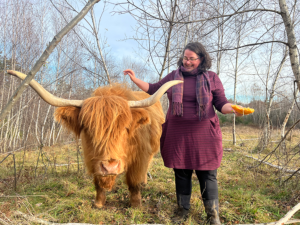 Mini Scotland Highland Cow are smaller than standard Highland Cattle, by 36-42 inches tall at the shoulder. Making them adaptable to living conditions.